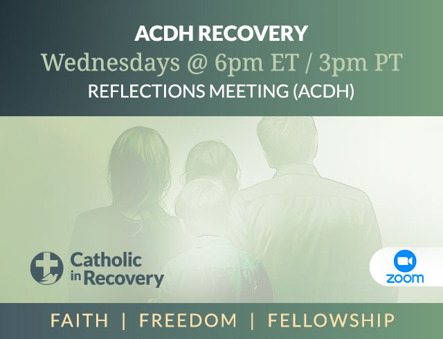 Reflections Meeting (ACDH)