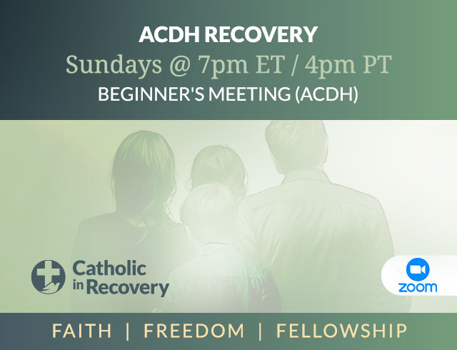 Beginner’s Meeting (ACDH)