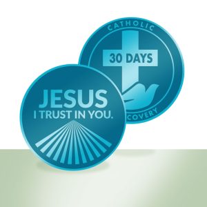 CIR Monthly Milestone Tokens (Aluminum)